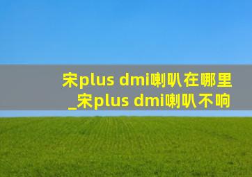 宋plus dmi喇叭在哪里_宋plus dmi喇叭不响